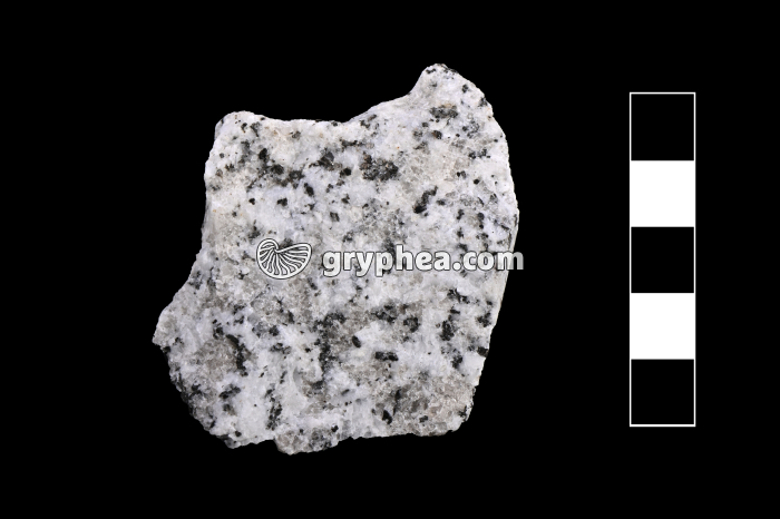 Granite - échantillon (Tarn) - gryphea.com